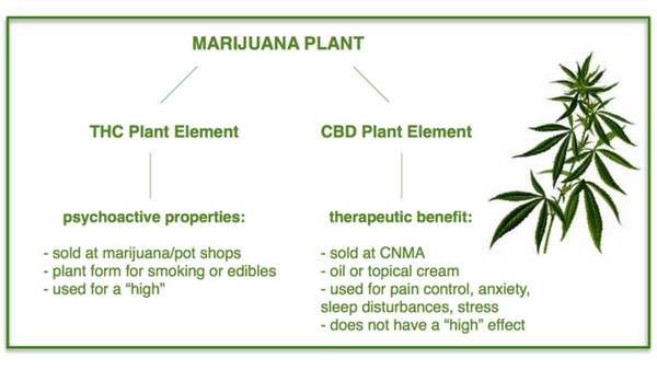 THC vs CBD oil, Marijuana, colorado natural medicine and acupuncture castle rock