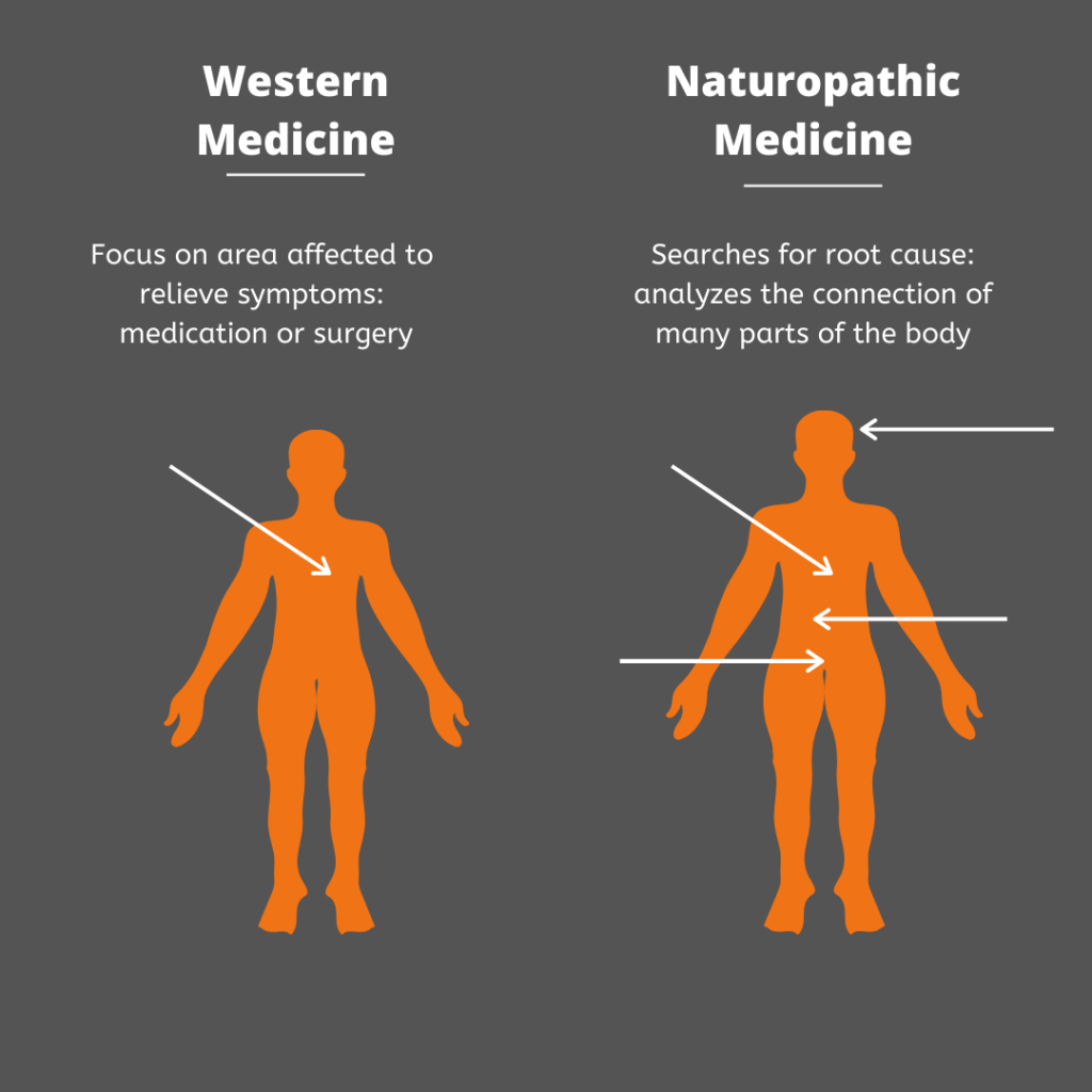 what is natural medicine, what does a naturopathic doctor do, natural health care, colorado natural medicine and acupuncture