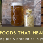 prebiotics, probiotics, healing foods, colorado natural medicine and acupuncture