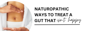 gut health, stress and digestion, digestive health, naturopathic gut health, restoring the microbiome, probiotic foods