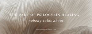 psilocybin, healing, nervous system regulation, mental health, retreats, holistic health, integration