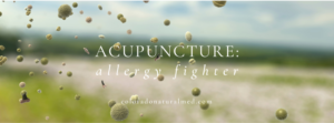 acupuncture and allergies, spring 2026, allergies, seasonal allergy symptoms, changing seasons, natural allergy remedies, stuck qi