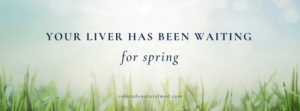 liver health spring, spring detox naturopathic, East Asian medicine liver, acupuncture liver support, liver qi stagnation, naturopathic doctor Castle Rock CO, functional medicine liver testing, spring cleanse Colorado, liver detox without supplements, holistic liver support Front Range Colorado