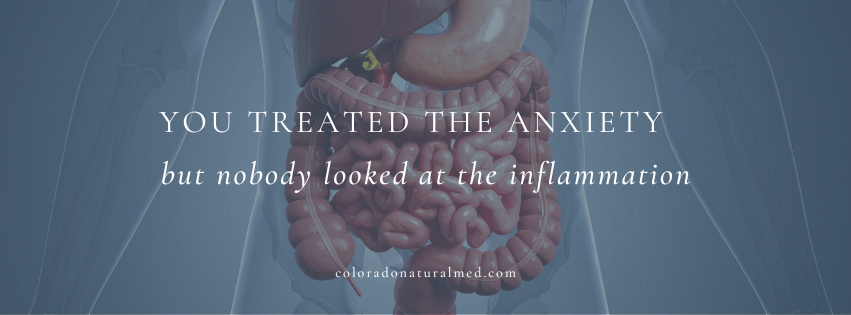 anxiety, inflammation, depression, gut health and mood, gut and brain connection, mental health care, inflammation and mental health, chronic stress, gut health and mental health
