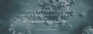 immune system, immune regulation, immune dysfunction, frequent colds, chronic stress and immune function, gut health and immune function, nutrition and immunity, sleep and immune health