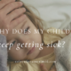 children, recurring illness, immune stress, immune system support, gut health and immune function, antibiotics, naturopathic pediatric support
