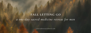 fall 2026, guided medicine retreat, retreats, men's health, psilocybin, acupuncture, naturopathic medicine