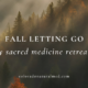 fall 2026, guided medicine retreat, retreats, men's health, psilocybin, acupuncture, naturopathic medicine
