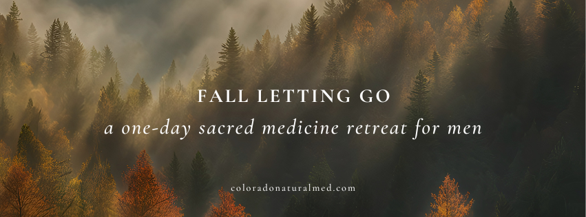 fall 2026, guided medicine retreat, retreats, men's health, psilocybin, acupuncture, naturopathic medicine